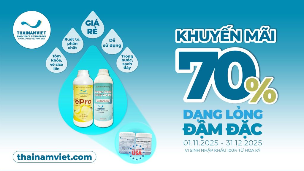CHỈ RIÊNG TRONG THÁNG 12! KHUYẾN MÃI 70% BỘ ĐÔI VI SINH DẠNG LỎNG 1 FB Social Post thang 12 T6 Post 3 Web Banner Anh dau bai viet