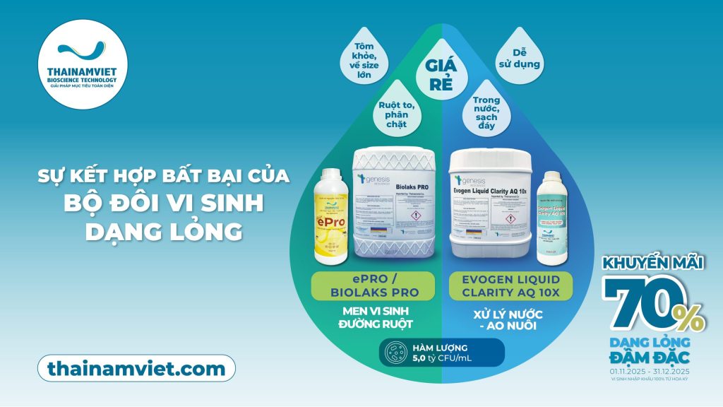 SỰ KẾT HỢP BẤT BẠI CỦA BỘ ĐÔI VI SINH DẠNG LỎNG TRONG NUÔI TRỒNG THỦY SẢN 1 Bộ đôi vi sinh dạng lỏng - Web Banner 1920x1080