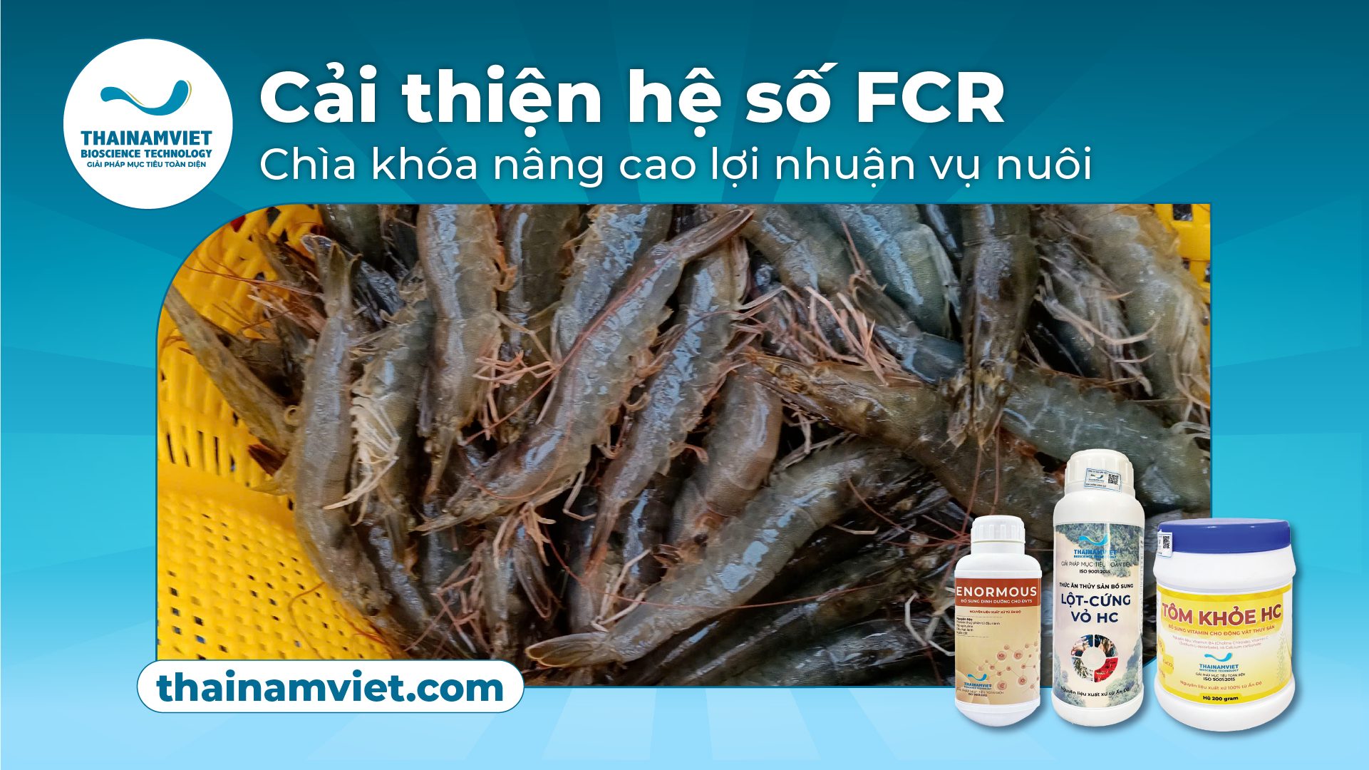 CẢI THIỆN HỆ SỐ FCR - CHÌA KHÓA NÂNG CAO GIÁ TRỊ VỤ NUÔI TÔM 1 270126 03T6 Post 5 Web Banner Anh dau bai viet 1 1