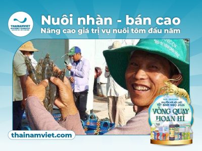 T1 Post 1 T6 Post 5 Web Thumbnail Preview 400x300 13