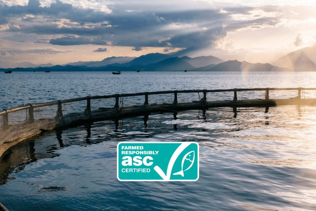 NUÔI NHÀN, BÁN CAO - BẮT ĐẦU HÀNH TRÌNH NUÔI TÔM GIÁ TRỊ CAO TRONG NĂM 2026 4 image 2