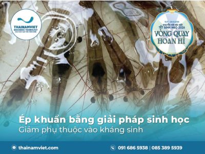 Ép Khuẩn Vibrio Bằng Giải Pháp Sinh Học – Giảm Phụ Thuộc Vào Kháng Sinh