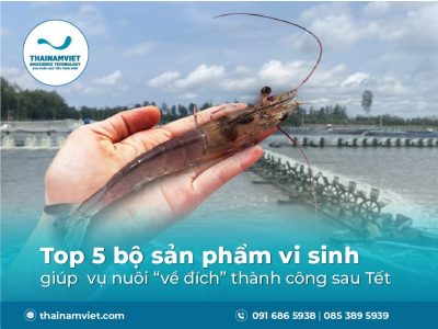 Post T2 25 Thumbnail Preview 400x300 08