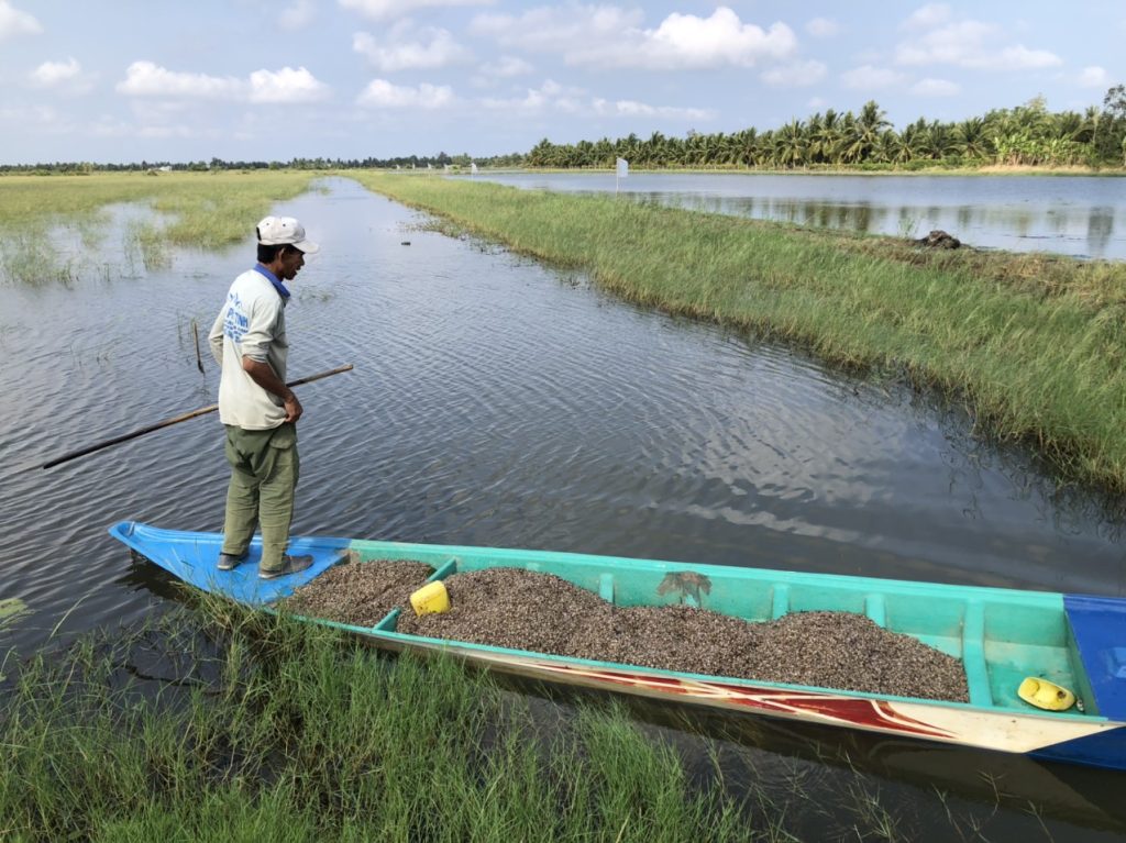 TOP 5 BỘ SẢN PHẨM VI SINH CẦN CHUẨN BỊ ĐỂ "VỀ ĐÍCH" THÀNH CÔNG CHO VỤ NUÔI TÔM 6 z4514819701213 459e7bca546a82cb64df78326249c806