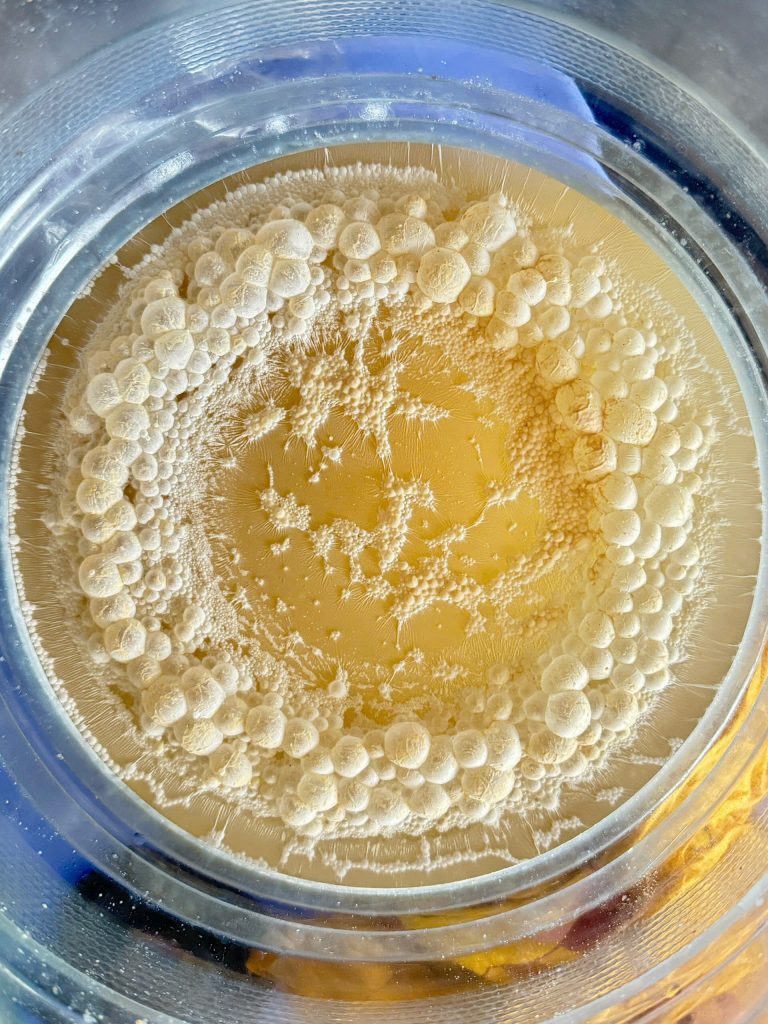 Ứng dụng EM Bố Mẹ trong nuôi tôm | SCD Probio & BioAH Aqua 11 BioAH Aqua-04