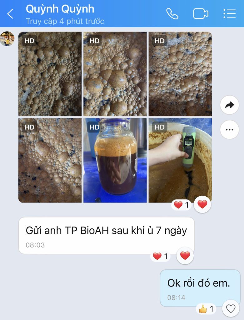 Ứng dụng EM Bố Mẹ trong nuôi tôm | SCD Probio & BioAH Aqua 12 Feedback khách BioAH Aqua