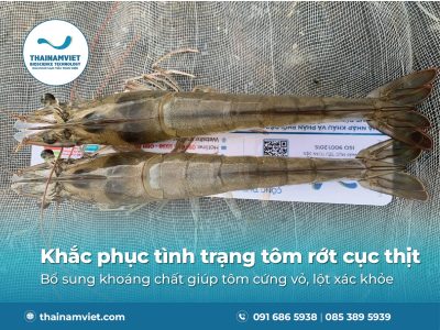 FB Zalo posts T3.26 Recovered Thumbnail Preview 400x300 09