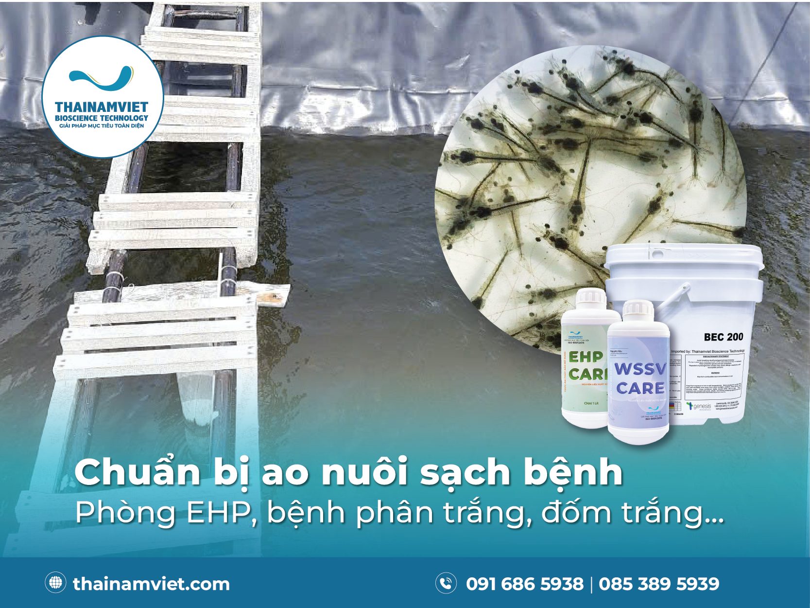 Phòng EHP, bệnh phân trắng, đốm trắng...