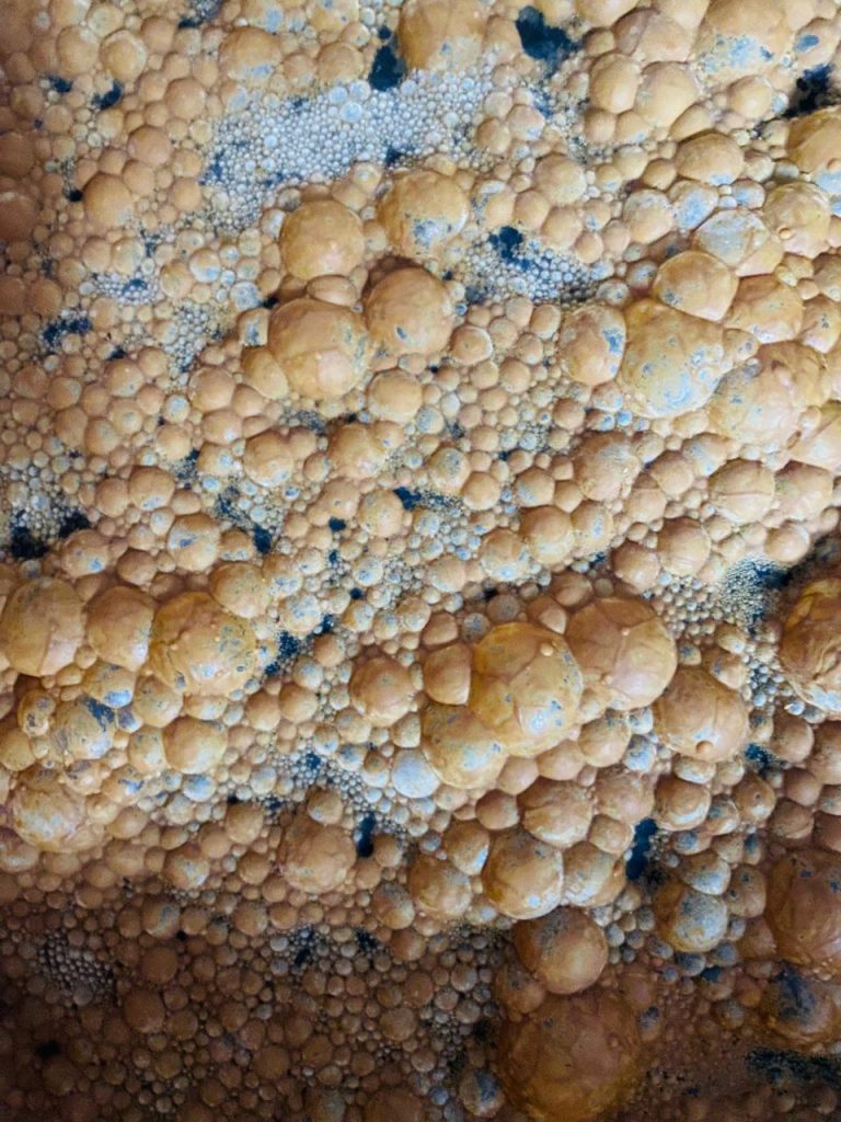 Ứng dụng EM Bố Mẹ trong nuôi tôm | SCD Probio & BioAH Aqua 10 BioAH Aqua-03