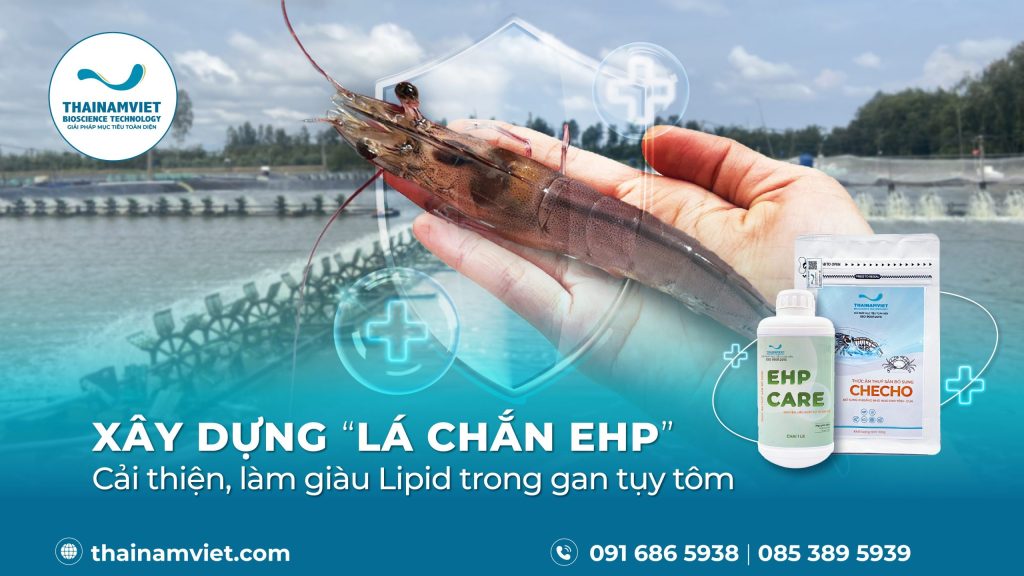 EHP CARE+CHECHO-LIPID-BANNER