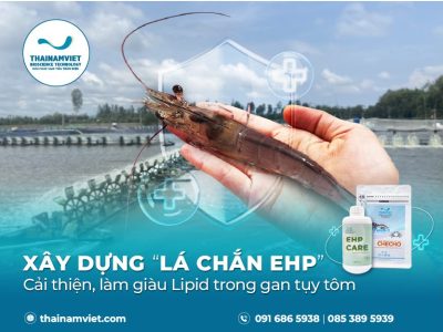 EHP CARE+CHECHO-LIPID-THUMBNAIL