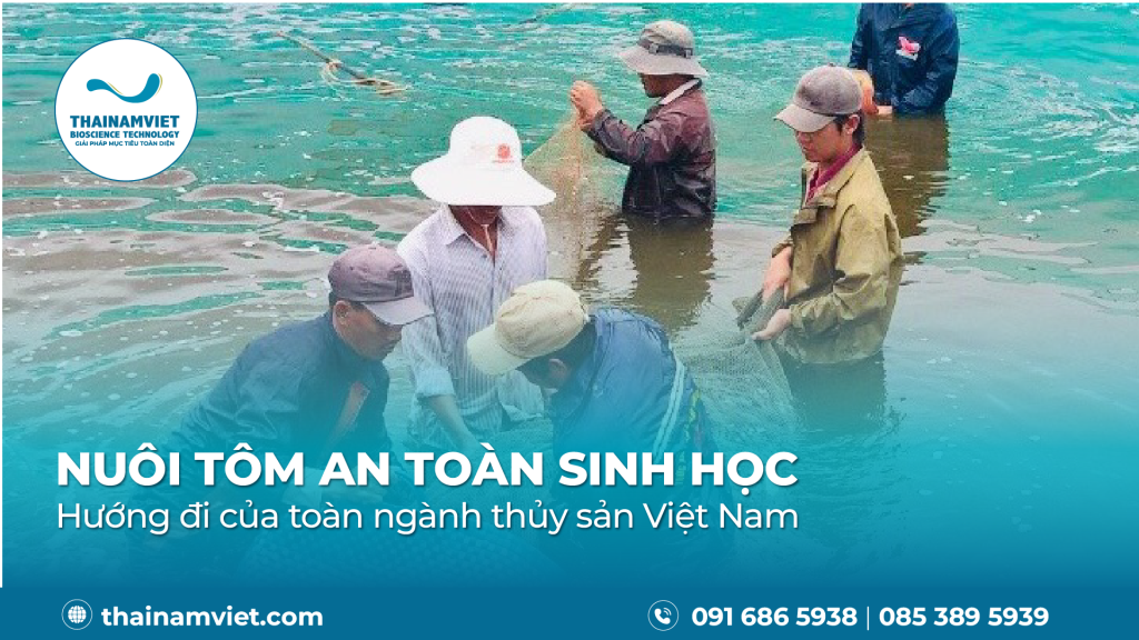 NUÔI TÔM AN TOÀN SINH HỌC - HƯỚNG ĐI CỦA NGÀNH THỦY SẢN VIỆT NAM 1 FIN 040626 Webpost banner 1920 x 1080 1