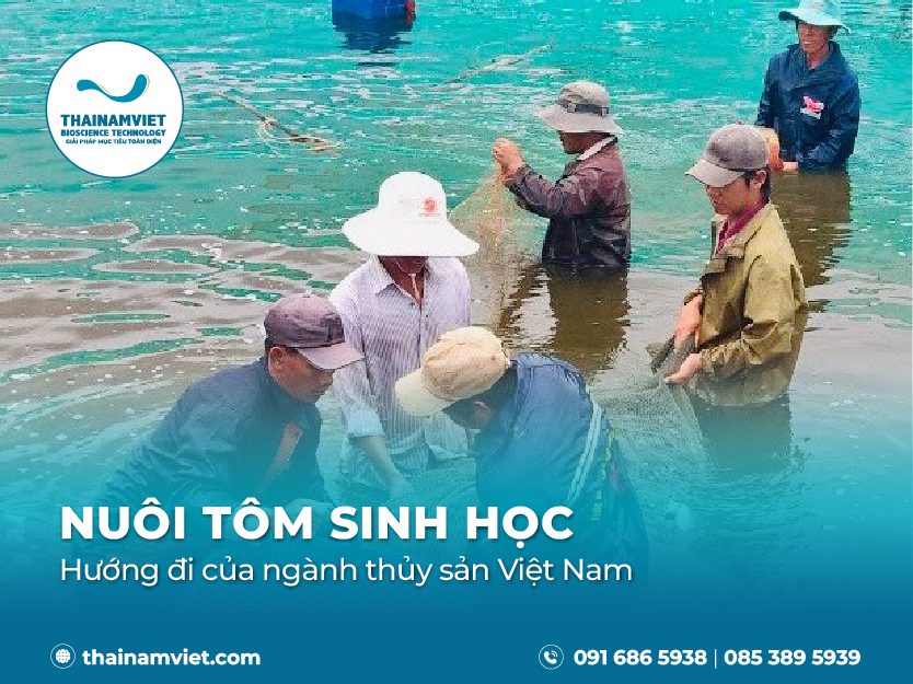 Nuôi tôm an toàn sinh học -Web thumbnail-400x300_Thumbnail Preview 400x300