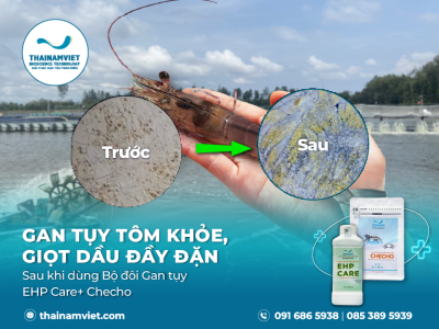 WebSocial Post T7 26 Feedback bo doi gan tuy Thumbnail Preview 400x300 03