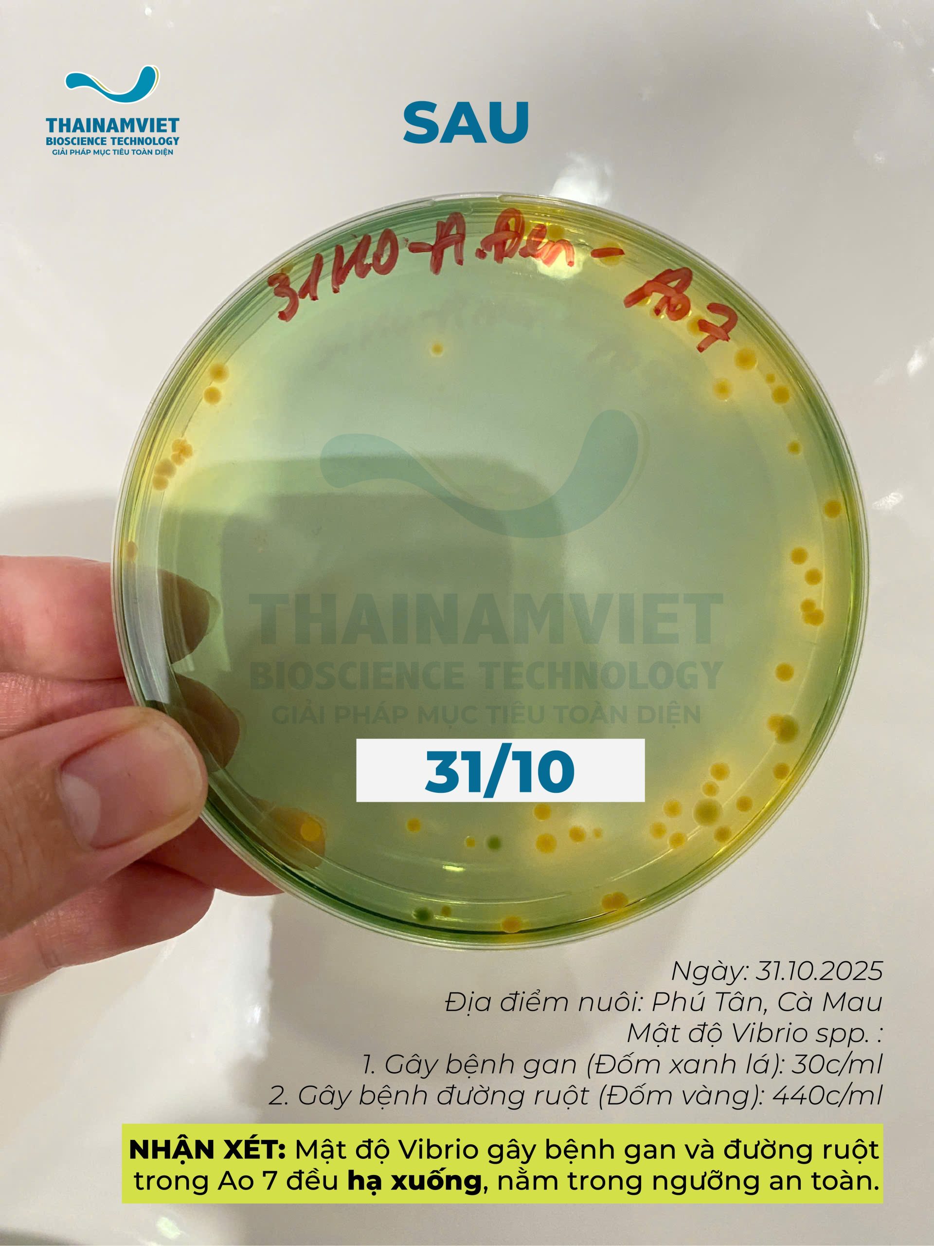 T8 Social Webpost BEC600S ket qua trc sau 21 1
