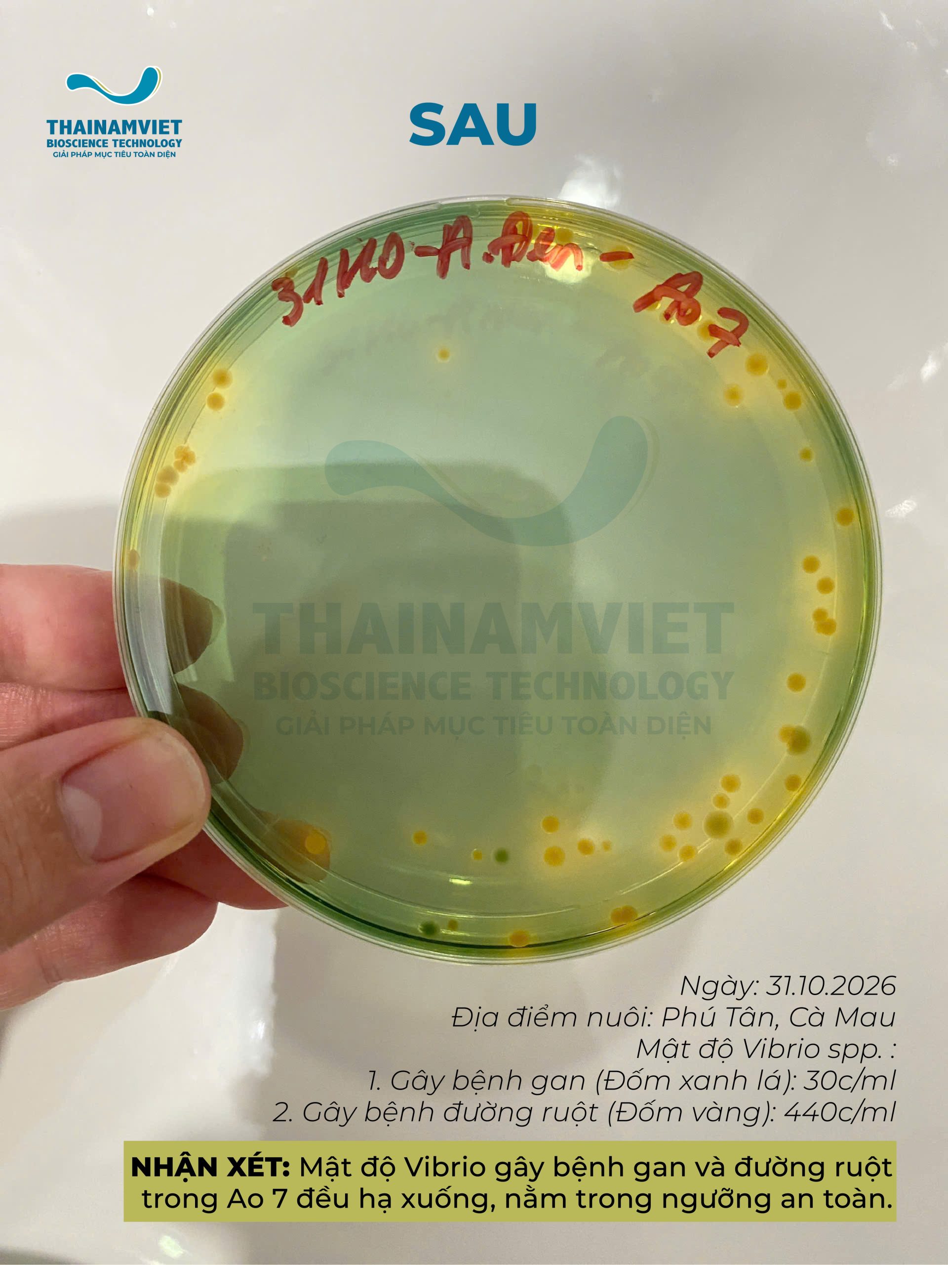 T8 Social Webpost BEC600S ket qua trc sau 21