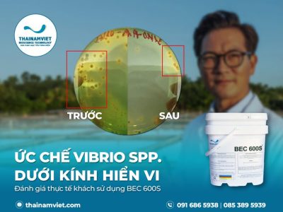 T8 Social Webpost BEC600SD Artboard 6 05