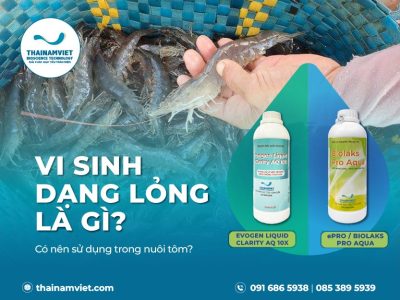 T8 Social Webpost VSDangLong Artboard 5 Artboard 6 07