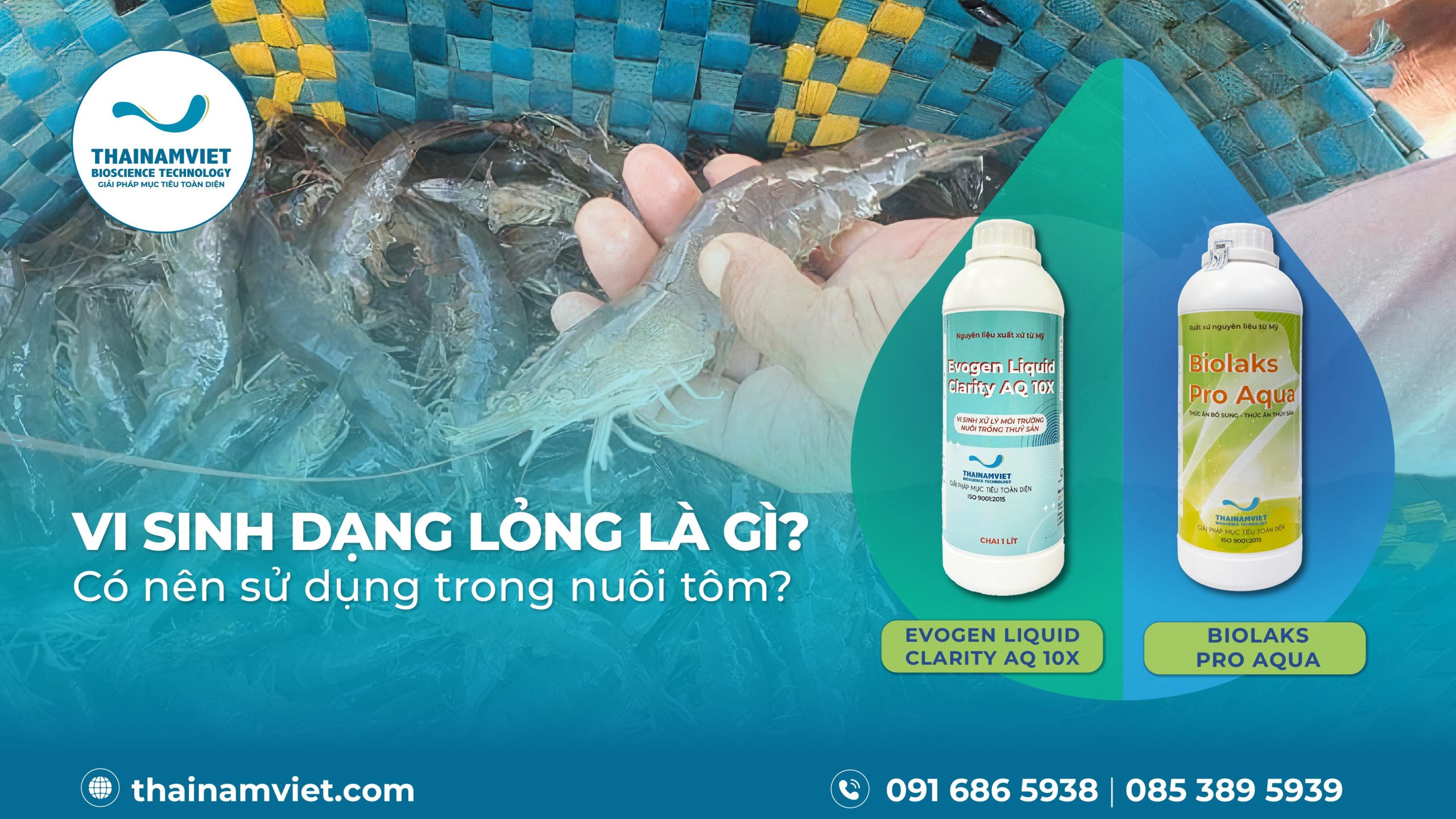 Vi sinh dạng lỏng là gì? Có nên sử dụng trong nuôi tôm? 1 T8 Social Webpost VSDangLong Artboard 5 Artboard 6 08